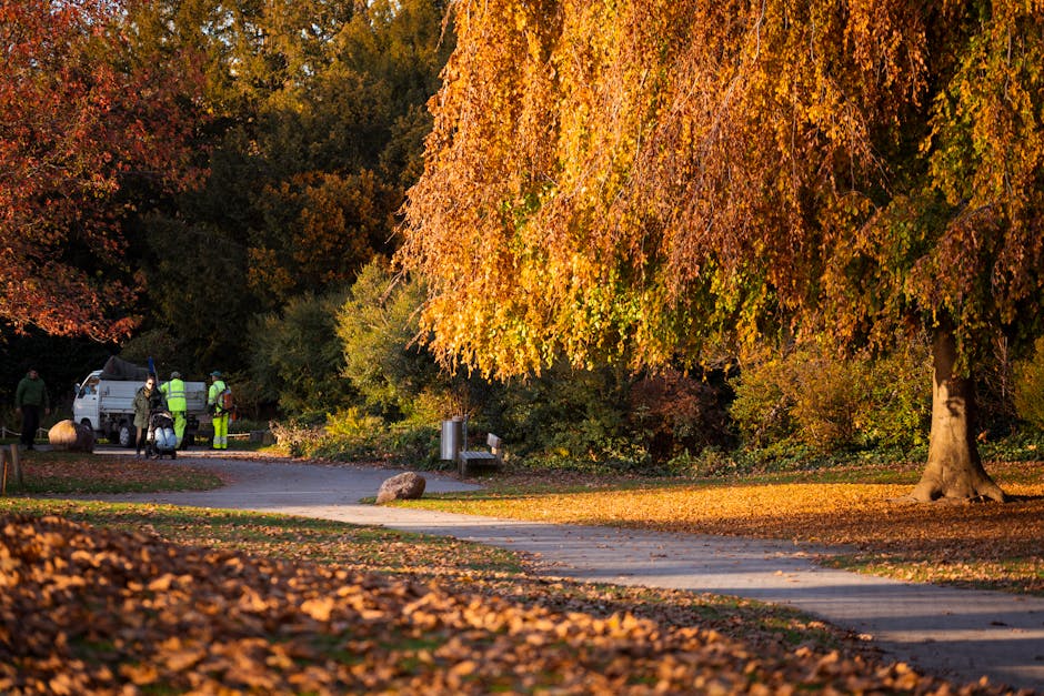 A scenic park pathway during autumn, with a large tree on the right displaying vibrant orange and yellow leaves, some of which have fallen onto the paved walkway. In the background, several workers we